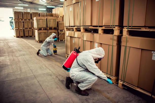 Best Affordable Pest Control Services  in Corcoran, MN