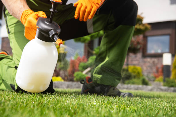 Best Rat Extermination Near Me  in Corcoran, MN
