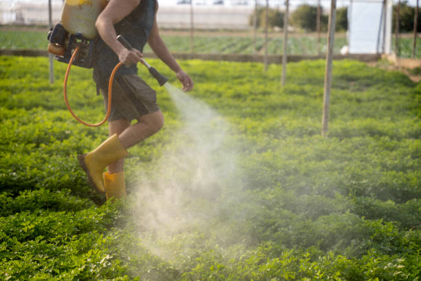 Pest Control for Restaurants in Corcoran, MN