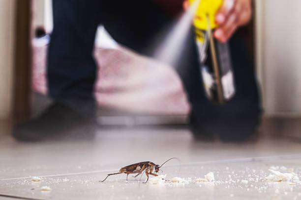 Best Flea Control Services  in Corcoran, MN