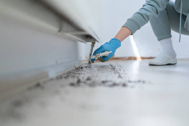 Corcoran, MN Pest Control Company